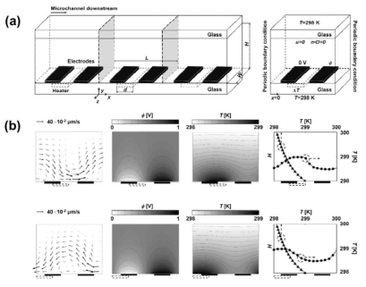 (a) 마이크로 채널 내 전기열적유동에 의한 유체의 수송을 수치적으로 연구하는데 있어 필요한 관심영역과 경계조건, (b) 마이크로 히터의 위치에 따른 유체수송방향의 변화