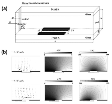(a) 마이크로 채널 내 전기열적유동에 의한 유체의 혼합을 수치적으로 연구하는데 있어 필요한 관심영역과 경계조건, (b) 마이크로 히터의 위치에 따른 전기열적와류의 유동구조의 변화