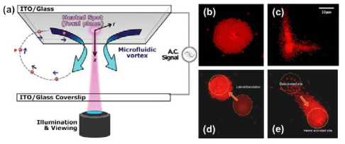 Rapid electrokinetic patterning(REP)기술. (a) REP의 원리, (b)~(e) REP기술에 의한 입자의 중합, 패터닝, 그리고 수송