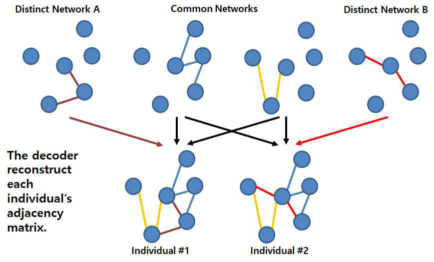 그래프 조합의 예시. 본 연구에서는 공통네트워크(Common Network)에 Distinct Network A를 더하면 개체 1이 만들어지고, A대신에 B가 더해지면 개체 2가 만들어지는 형식으로 네트워크를 분할하고자 함