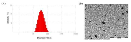 제조된 양자점포획 미셀의 크기와 모양을 입자분석기(A)와 전자현미경(B)으로 분석함