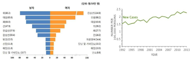 한국인의 암 발생률을 분석해보면 위장관 장기에서 발생하는 암의 빈도가 높은 것을 알 수 있음(좌), 소장암의 경우 최근 들어 그 발생률에 대한 수치가 점차 증가하고 있음(우)