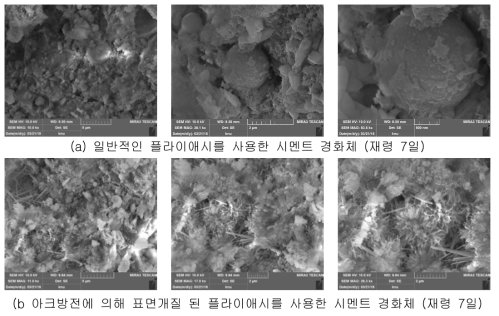 시멘트 경화체의 SEM 분석 결과 (W/B 50%, 대체율 30%)