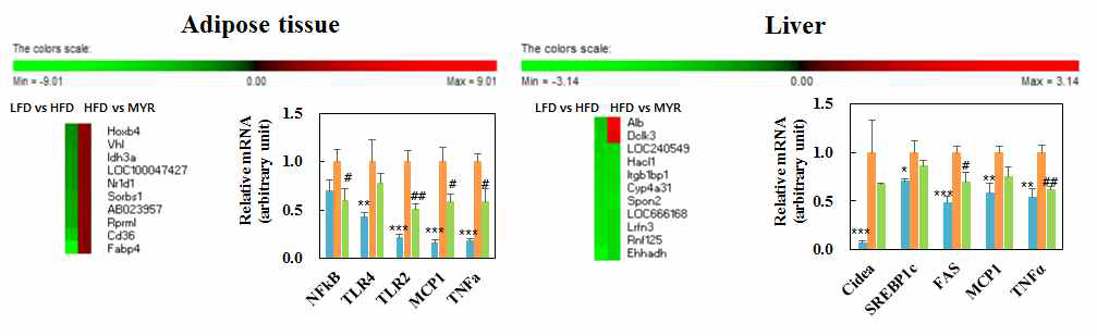 quantitative real-time PCR and microarray analysis. Mean ± S.E . * p < 0 . 0 5 , **p<0.01, ***p<0.001 LFD vs HFD, #p<0.05, ##p<0.01, HFD vs HFD+MYR. LFD; low-fat diet, HFD; high-fat diet, HFD+MYR; HFD + 0.02% (w/w) myricitrin