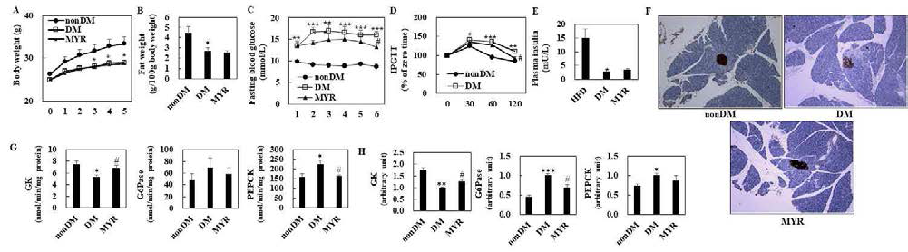 Effects of myricitrin on body weight (A), fat mass (B), fasting blood glucose (C), glucose tolerance (D), plasma insulin levels (E), pancreas immunohistochemistry (F), hepatic glucose-regulating enzymes activities (G), and mRNA expression (H) in HFD/STZ-induced type 2 diabetic mice. A-E, G and H: Values are mean ± SE. Student's t-test was used to assess the differences between groups.: *p<0.05, **p<0.01, ***p<0.001; nonDM group vs. DM group, #p<0.05; DM group vs. MYR group. F: Representative images of immunohistochemical staining for insulin in pancreatic sections