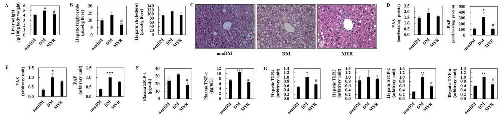 Effects of myricitrin on liver weight (A), hepatic lipids contents (B), liver morphology (C), hepatic lipogenic enzymes activities (D) and mRNA expression (E), plasma pro-inflammatory markers levels (F), and hepatic pro-inflammatory genes mRNA expression (G) in HFD/STZ-induced type 2 diabetic mice. A, B, D-G: Values are mean ± SE. Student's t-test was used to assess the differences between groups.: *p<0.05, **p<0.01, ***p<0.001; nonDM group vs. DM group, #p<0.05; DM group vs. MYR group. C: Representative images of immunohistochemical staining for insulin in pancreatic sections