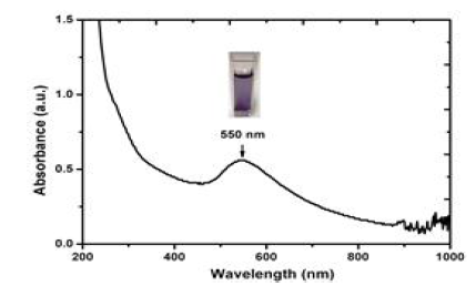 UV-Vis-NIR spectrum of Dox-AuNPs with an SPR peak at 550 nm confirming the formation of gold nanoparticles. Inset image shows the formation of purplish-blue colored gold nanoparticles