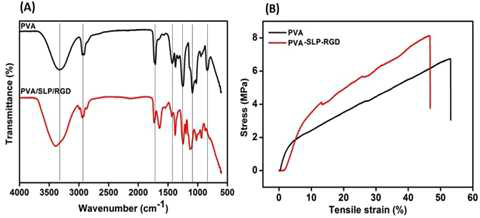 (A) ATR-FTIR and (B) stress-strain curves of 8% PVA and PVA-SLP-RGD electrospun nanofibrous scaffold