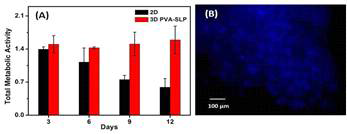 (A) Total metabolic activity and DAPI staining of PVA-SLP-RGD electrospun nanofibrous scaffold