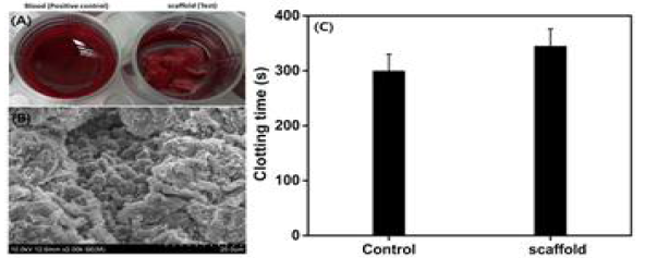 (A) Blood clotting of scaffold with control. (B). SEM image of clot formation with scaffold. (C). Blood clotting time of control (whole blood) and scaffold