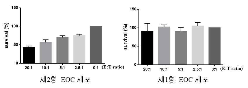 EOC세포군의 NK 감수성 분석