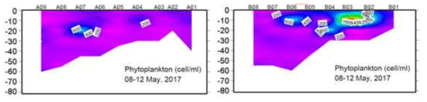 연구해역에서 2017년에 조사한 식물플랑크톤 농도 수직 단면도