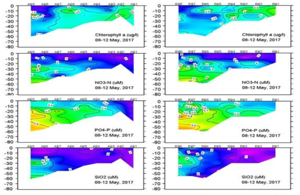 연구해역에서 2017년에 조사한 엽록소, 영양염류 농도에 따른 수직 단면도 수직 단면도