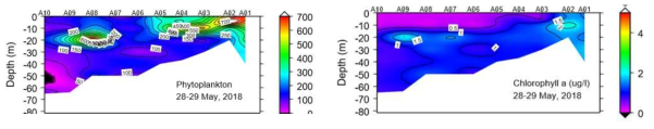 연구해역에서 2018년에 조사한 식물플랑크톤 농도 및 엽록소 농도 수직 단면도