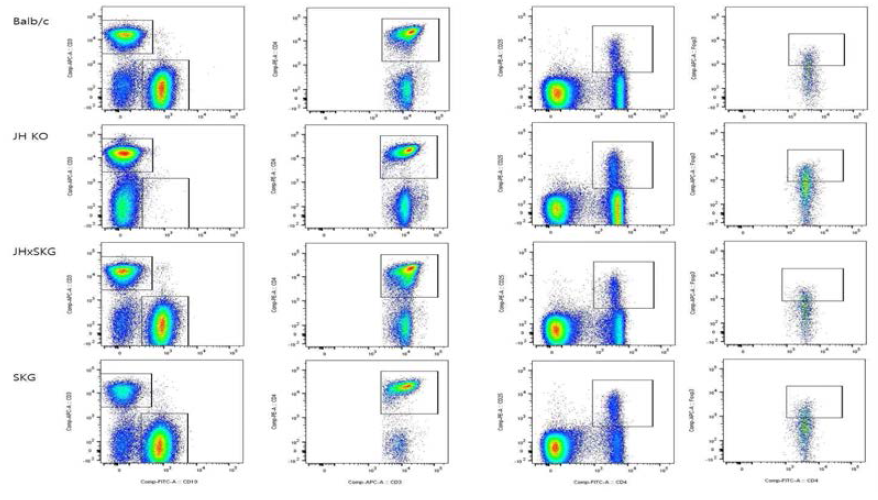 FACS analysis of SKG and Jh KO mice splenocyte