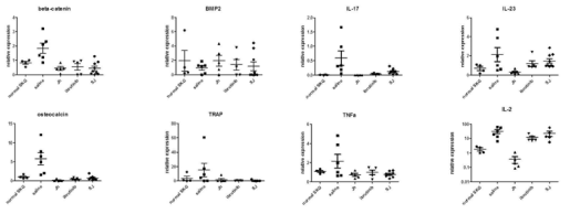 RT-PCR result of SKG mice