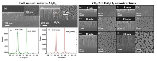 본 연구팀에서 제조한 나노구조체의 일부. (왼쪽) CoO 나노구조체의 SEM 이미지와 XRD 측정 결과. (오른쪽) 다양한 길이의 ZnO 나노막대 위에 성장된 VO2 나노구조체의 SEM 이미지