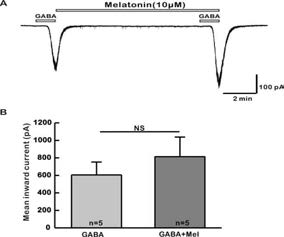 멜라토닌이 GnRH 신경세포에서 GABA 반응성에 미치는 영향