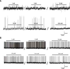 멜라토닌 농도에 따른 막전압의 변화(A, nanomolar, B, micromolar)