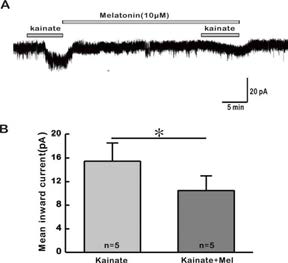 멜라토닌이 GnRH 신경세포에서 kainate 반응성에 미치는 영향
