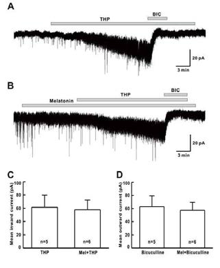 멜라토닌이 bicuculline 감수성 긴장성 GABA 전류에 미치는 영향