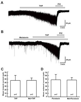 멜라토닌이 picrotoxin 감수성 긴장성 GABA 전류에 미치는 영향