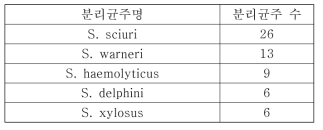 분리된 포도상구균 중 주요 균주 5개 종의 균주명 및 분리균주 수