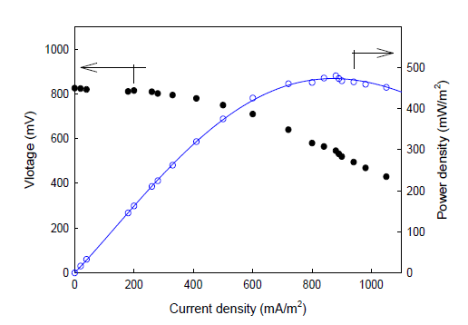 Polarization curves of the microbial fuel cell with the PPy/carbon nanofiber composite electrode