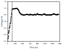 Voltage generation of the microbial fuel cell continuous system