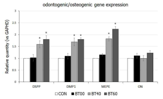 Real-time PCR을 이용한 다양한 BT 함량에 따른 유전체 시편 상에서 배양된 인간치수세포의 odontogenic-related gene 발현 평가