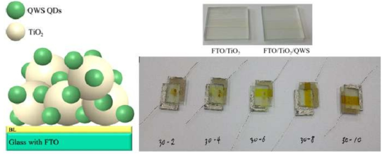 FTO/TiO2/QWS 양자점의 모식도(좌측), 합성한 하판 샘플(오른쪽 위) 및 기존의 합성한 태양전지 cell의 모습 (오른쪽 아래)