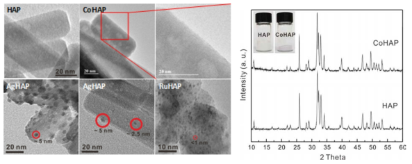왼쪽: HAP, CoHAP, AgHAP, RuHAP의 TEM 이미지, 오른쪽: HAP와 CoHAP의 XRD 패턴