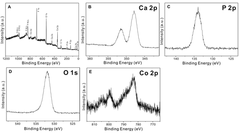 CoHAP의 X-ray Photoelectron Spectroscopy, A: survey spectrum, B: Ca 2p, C: P 2p, D: O 1s, E: Co 2p