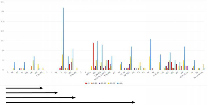 연령별 혈청형 백신 coverage rate