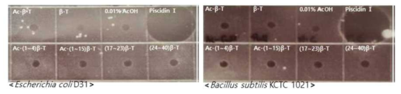 불가사리 베타-티모신 그람양성균 B. subtilis 및 그람음성균 E. coli에 대한 항균활성 측정결과 예시
