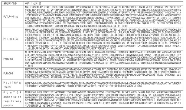 불가사리 면역 및 재생관련 유전자들의 단백질 서열