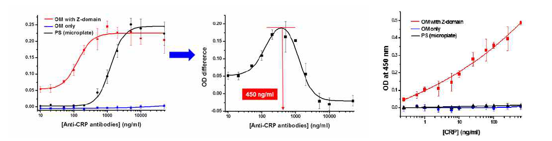 Z-domain 표면발현 대장균 외막을 활용한 CRP 진단검사