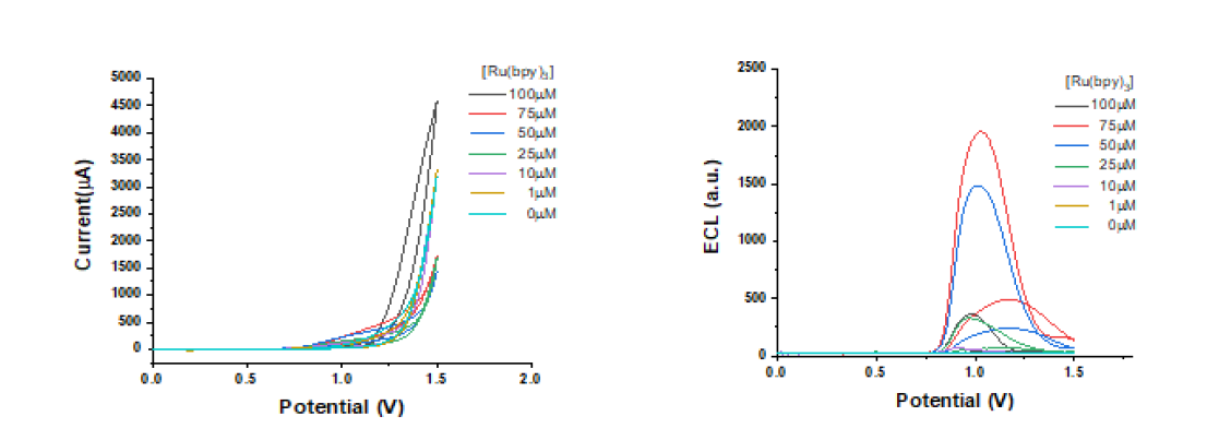 농도별 Ru(bpy)3에 따른 순환전류법 전기화학발광 테스트