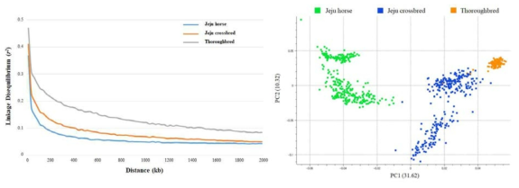 발굴된 유전다형성을 이용한 품종별 유전적 차이. 좌, LD 비교분석; 우, 주성분분석