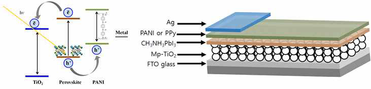 Schematic diagram of PANI based perovskite solar cell