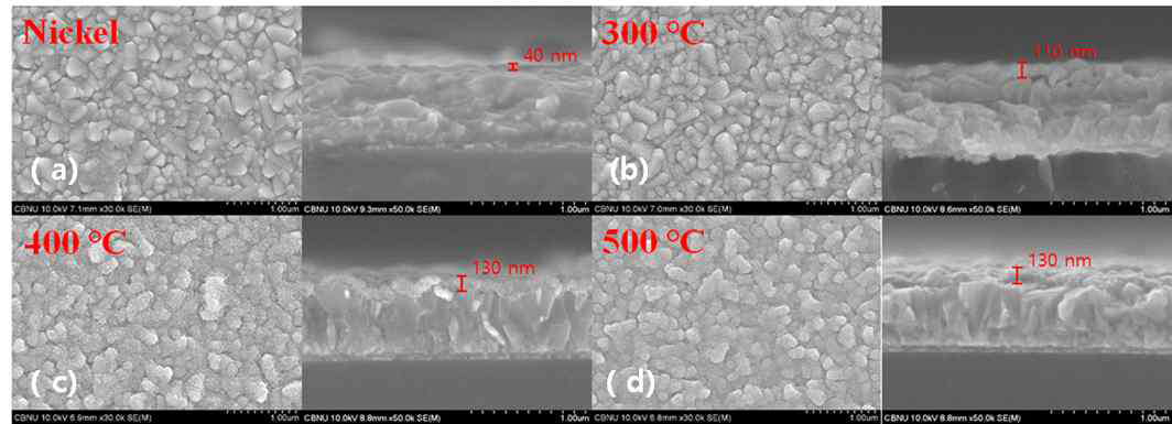 high magnification, cross sectional FE-SEM image of FTO/Ni(a), FTO/NiO annealing at 300°C(b), 400°C(b) and 500°C(b), respectively