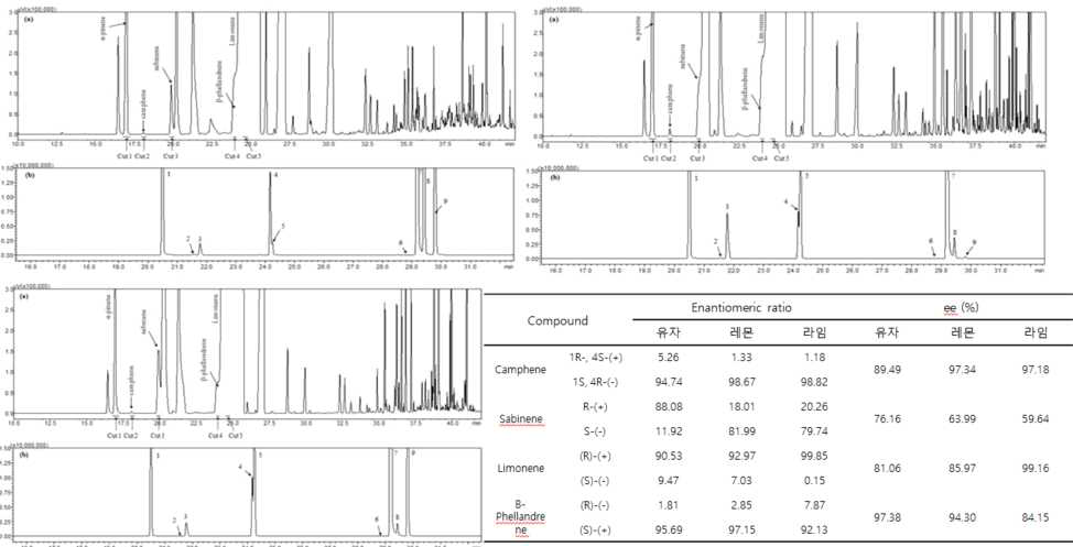 감귤류(유자, 레몬, 라임)의 주요 휘발성 향기성분의 이성질체 조성비 분석 결과
