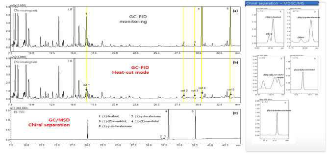 딸기의 휘발성 유기성분의 GC 크로마토그램((a)normal, (b)heat-cut mode)과 키랄성 향기성분의 MD-GC/MS의 크로마토그램