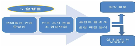 실내노출실험과 현장 조사시료의 비교 분석을 통한 감지 진단기법개발을 위한 실험과정