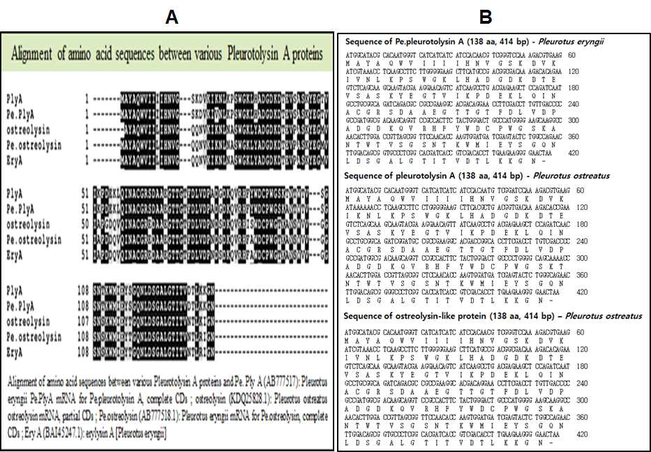 Alignment of amino acid sequences between various pleurotolysin A proteins (A) and comparison of nucelotide & amino acid sequences for pleurotolysin A gene (B)