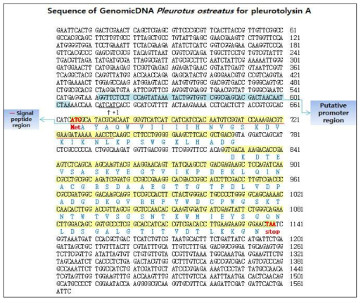 Genomic DNA Sequence of Pleurotolysin A from Pleurotus ostreatus