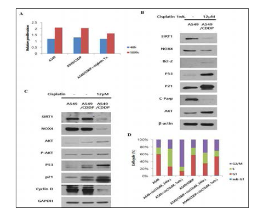 Cisplatin changes signaling and inhibits bproliferation of cisplatin-resistant NSCLC cells and induces G1 arrest