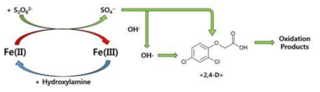 Hydroxylamine을 이용한 Fe(II)/Fe(III) 사이클 개념도 (출처??)