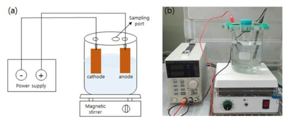 전기화학적 산화 실험 : (a) 모식도, (b) 실제 실험 모습
