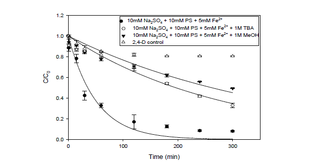 Sulfate radical과 hydroxyl radical의 영향